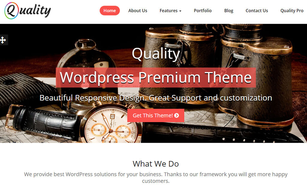 Quality WordPress Theme